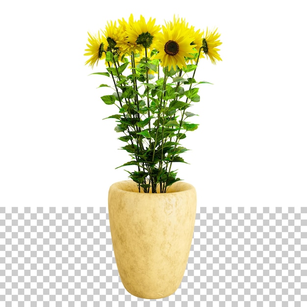 Tournesol Avec Un Beau Pot De Vase à Fleurs Moderne