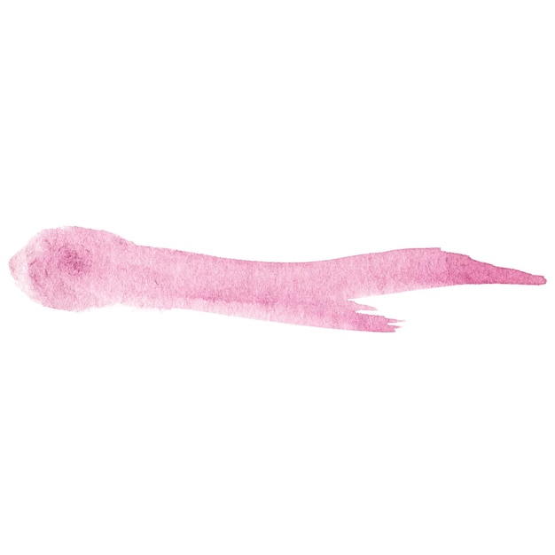 Un trait de pinceau peint à l'aquarelle, un élément de conception dessiné à la main isolé sur un fond transparent