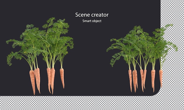 Trajeto de recorte dos vegetais de raiz isolados da cenoura