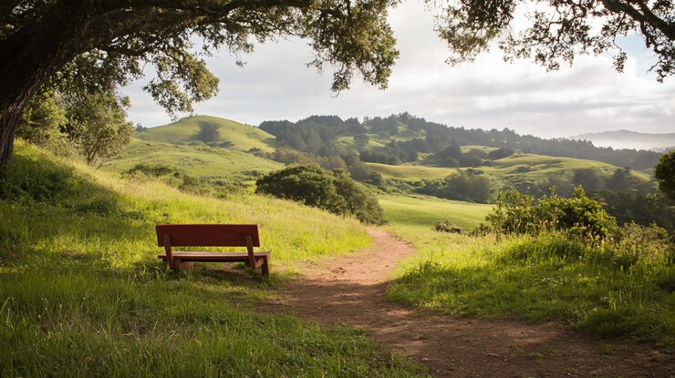 PSD tranquilo banco del parque con vistas a las colinas exuberantes paisaje verde exuberante con un camino de tierra que conduce a la distancia