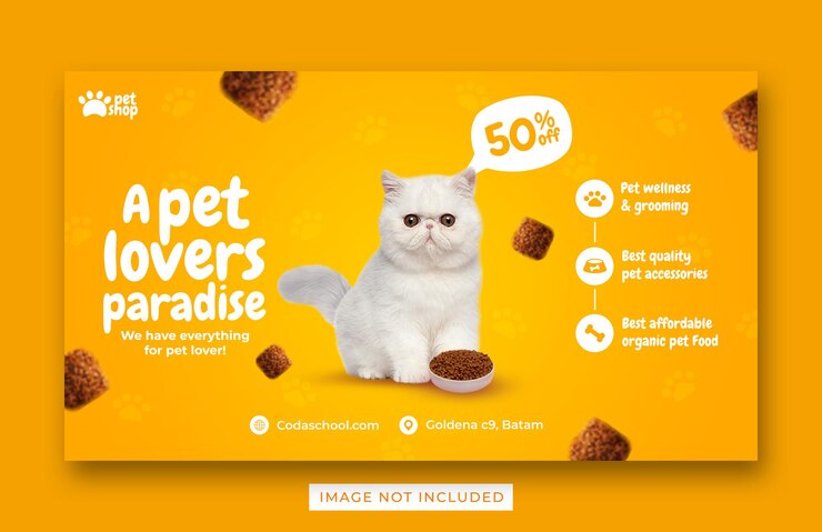 Transmissão ao vivo de webinar de promoção de mídia social Modelo de banner de postagem do Instagram