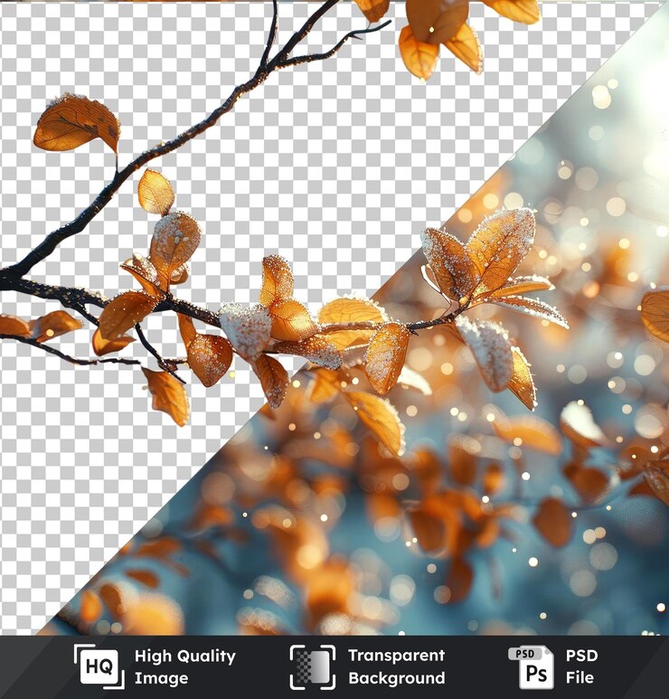 PSD transparent psd picture snowy autumn leaves png clipart