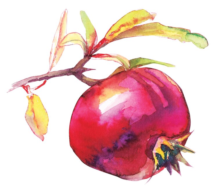 PSD transparenter hintergrund der granatapfelillustration