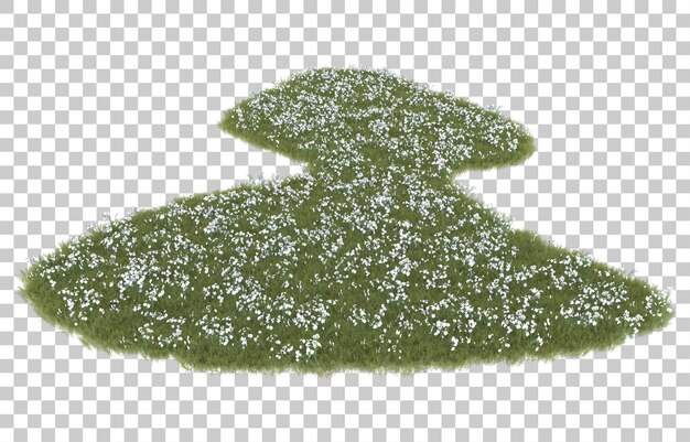 Tráva na průhledném pozadí. 3D renderování – ilustrace