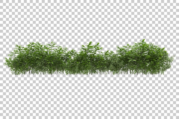 Travnaté pole s průhledným pozadím, 3D renderování ilustrace