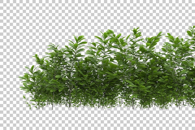 Travnaté pole s průhledným pozadím, 3D renderování ilustrace