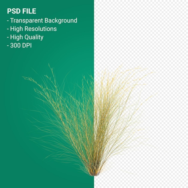 tree 3d render isolated on transparent background