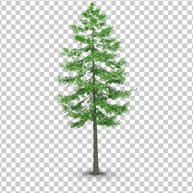 Tree with Transparent background PSD file