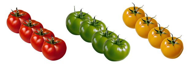tres diferentes colores de tomates con fondo blanco de cerca