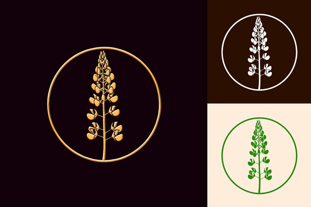 tres imágenes de plantas y un círculo con un círculo en el medio