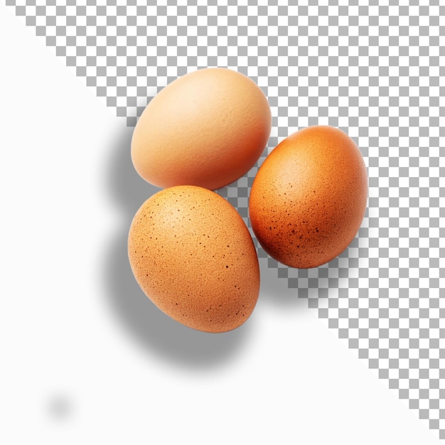 três ovos castanhos com fundo branco com fundo branco