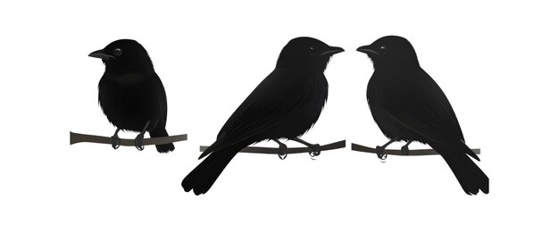 Tres pájaros negros posados en las ramas