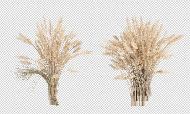 Trockengras 3D-Rendering einer natürlichen Landschaft