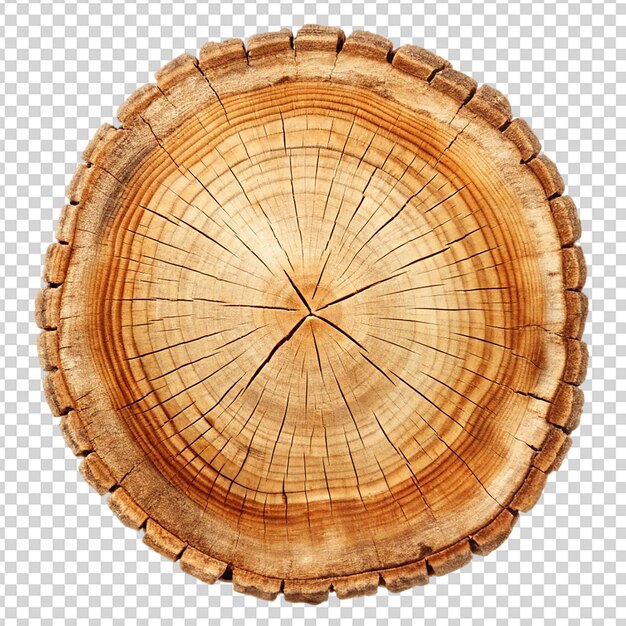 Un tronco de árbol aislado en un fondo transparente