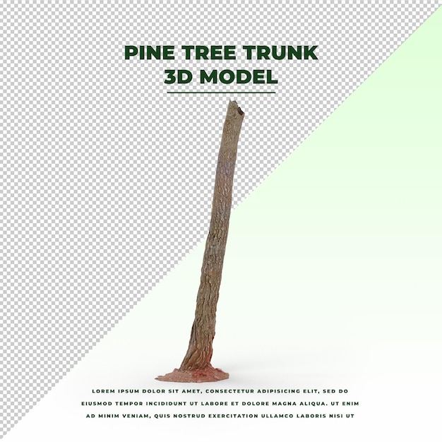 Tronco d'albero di pino