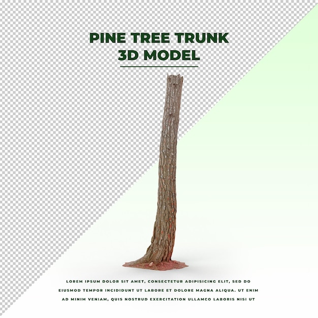 Tronco d'albero di pino