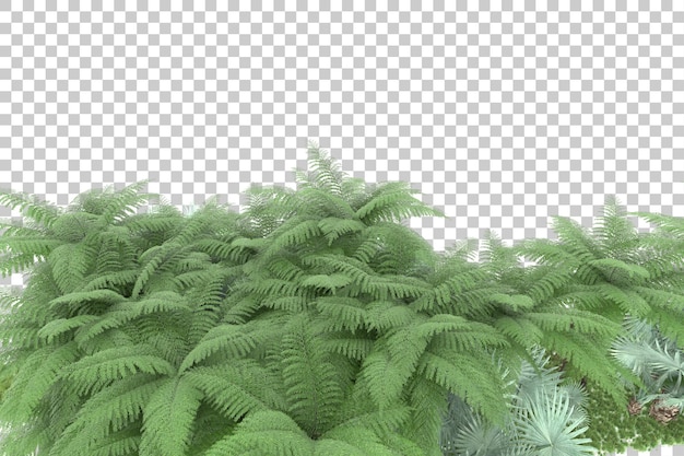 Tropical island on transparent background 3d rendering illustration