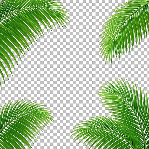 Tropical Palm Leaves Border Frame con sfondo trasparente per il design estivo e l'editing PNG