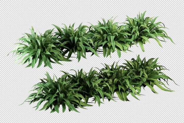 Tropical trees and flowers in 3d rendering isolated