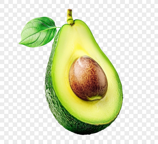 Tropische Avocado-Früchte auf durchsichtigem Hintergrund