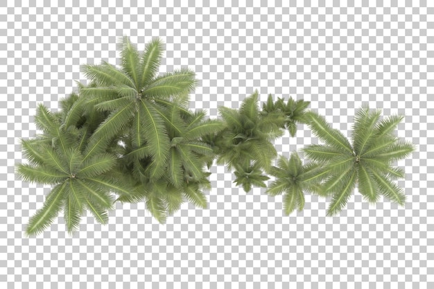 Tropische Bäume auf transparentem Hintergrund. 3D-Rendering - Abbildung