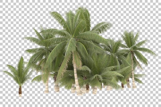 Tropische Bäume auf transparentem Hintergrund. 3D-Rendering - Abbildung