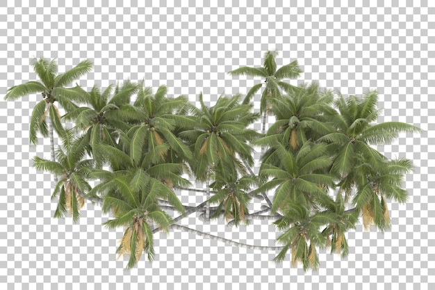 Tropische bäume auf transparentem hintergrund. 3d-rendering - abbildung