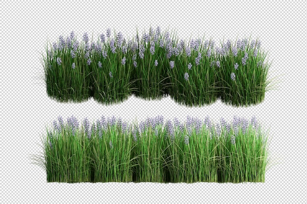 Tropische Bäume und Blumen in 3D-Rendering isoliert