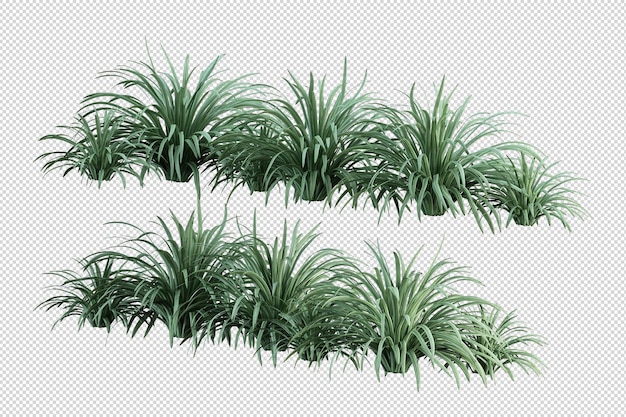 Tropische Bäume und Blumen in 3D-Rendering isoliert