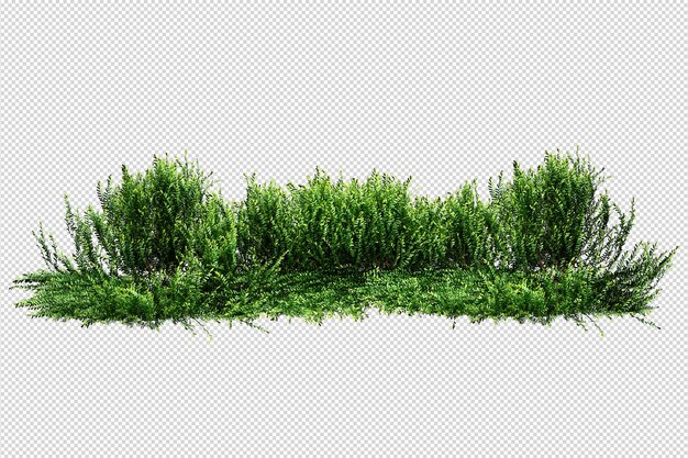 Tropische Bäume und Blumen in 3D-Rendering isoliert