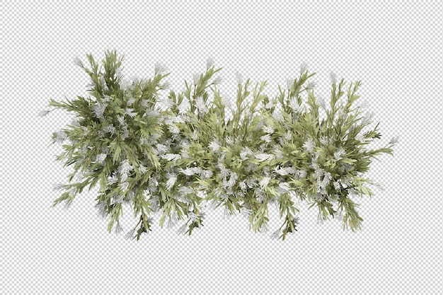 PSD tropische bäume und blumen in 3d-rendering isoliert