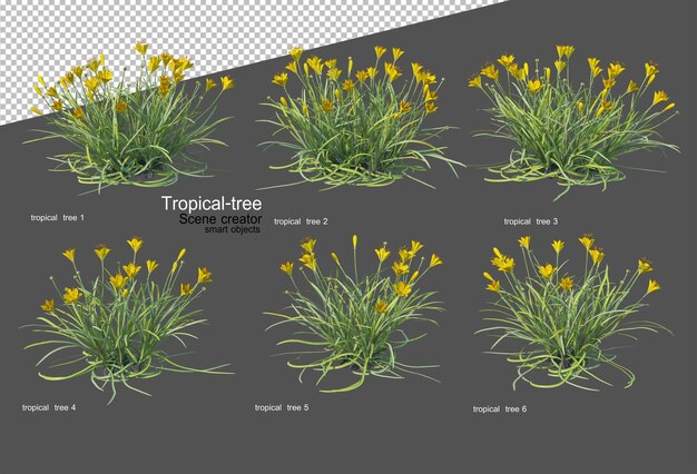 PSD tropische bäume und pflanzen in 3d-rendering