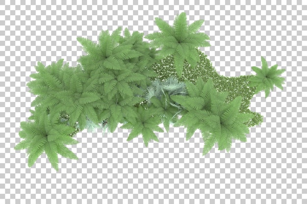 Tropische Insel auf transparentem Hintergrund, 3D-Darstellung
