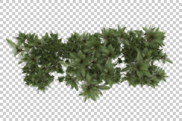 Tropische Insel auf transparentem Hintergrund. 3D-Rendering - Abbildung