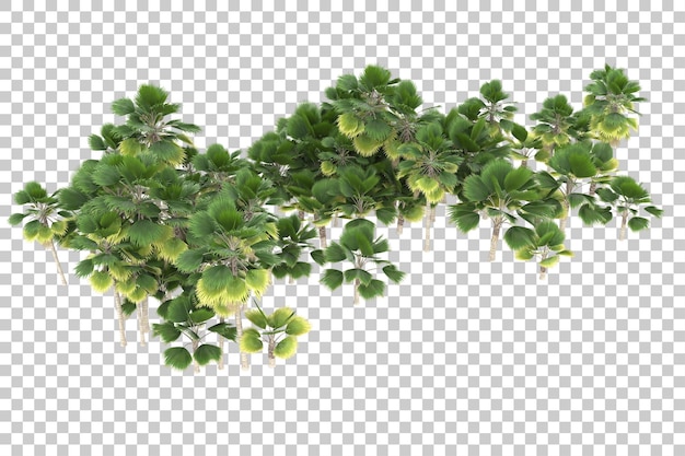 Tropische Insel auf transparentem Hintergrund. 3D-Rendering - Abbildung