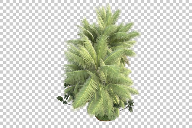 Tropische Insel isoliert auf transparentem Hintergrund, 3D-Darstellung