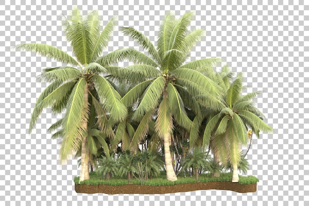 Tropische Insel isoliert auf transparentem Hintergrund, 3D-Darstellung