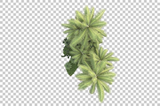Tropische Insel isoliert auf transparentem Hintergrund, 3D-Darstellung