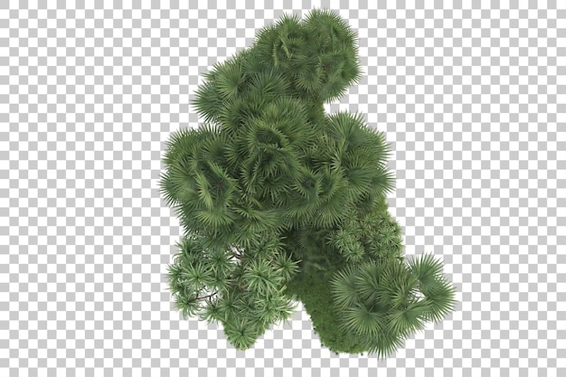 Tropische Insel isoliert auf transparentem Hintergrund, 3D-Darstellung