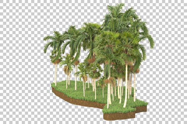 Tropische Insel isoliert auf transparentem Hintergrund, 3D-Darstellung
