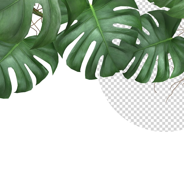 PSD tropische monstera blätter pflanze laub natur hintergrund mockup vorlage 3d-rendering