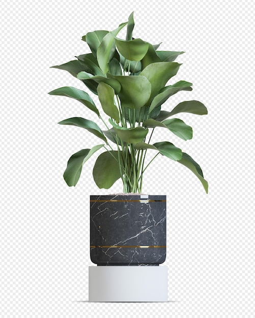 Tropische Pflanze im Topf in 3D-Rendering