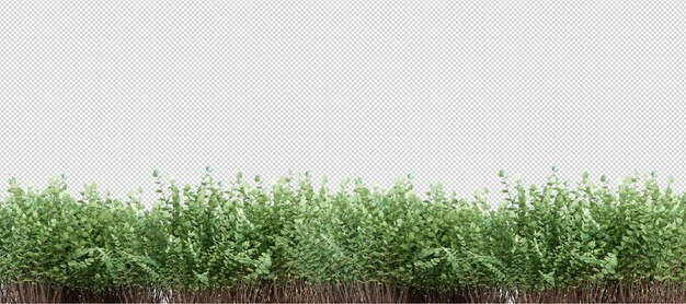 Tropische Pflanze in 3D-Rendering isoliert