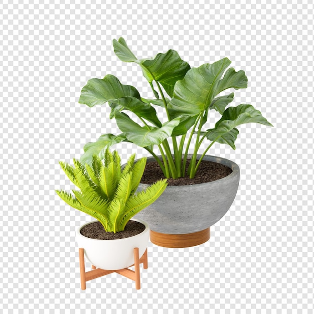 Tropische Pflanzen in 3D-Rendering