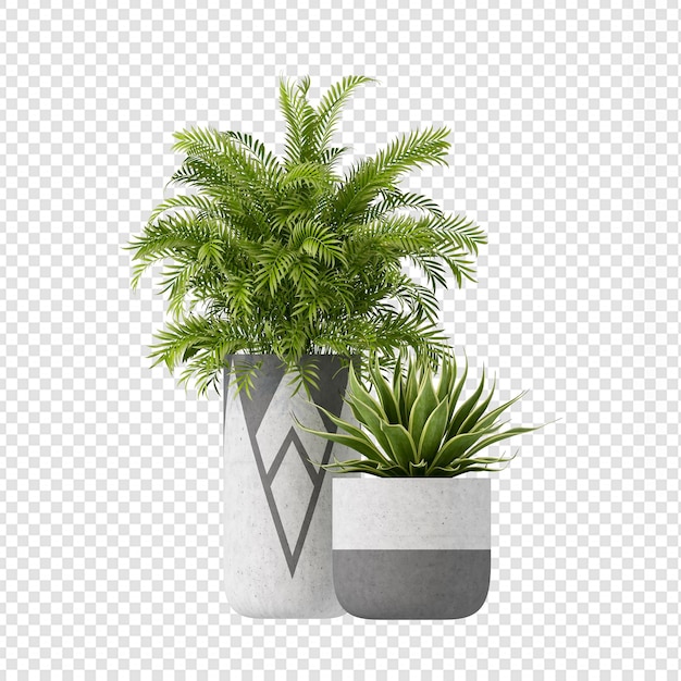 Tropische Pflanzen in 3D-Rendering
