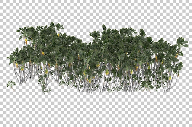 Tropischer dschungel auf transparentem hintergrund. 3d-rendering - abbildung