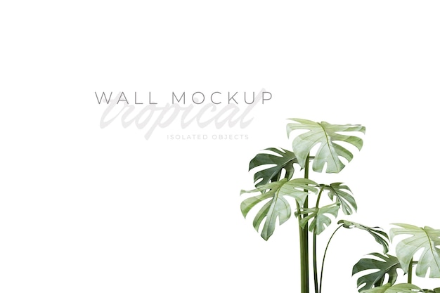 Tropischer und sommerlicher Hintergrund Mockup