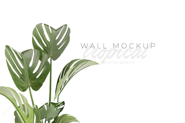 Tropischer und sommerlicher Hintergrund Mockup