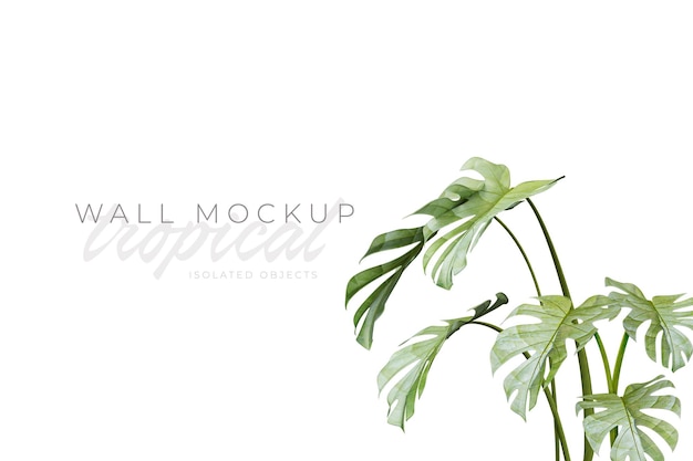 Tropischer und sommerlicher hintergrund mockup