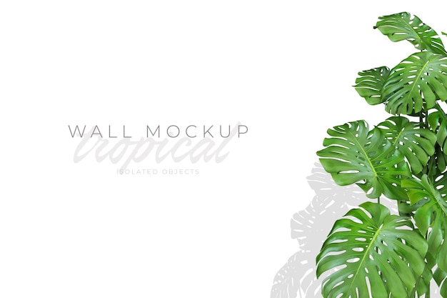 Tropischer und sommerlicher Hintergrund Mockup